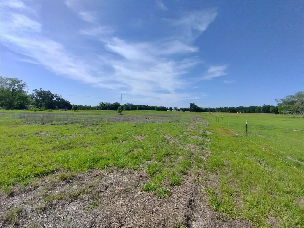 8335 168th Street Mc Alpin FL 32062