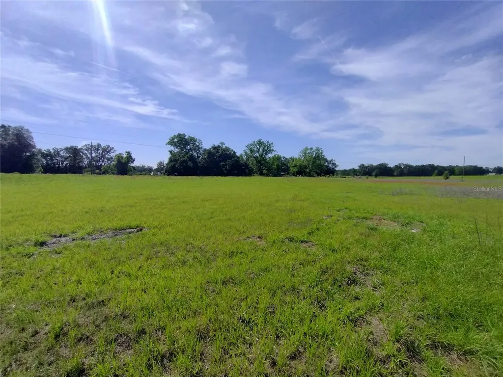 8335 168th Street Mc Alpin FL 32062