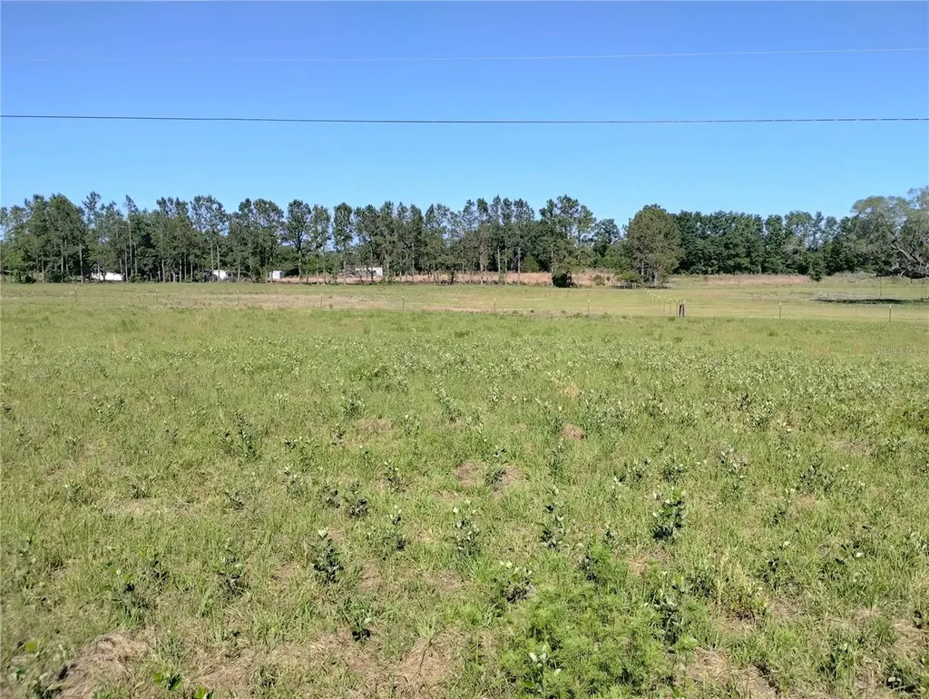 8335 168th Street Mc Alpin FL 32062