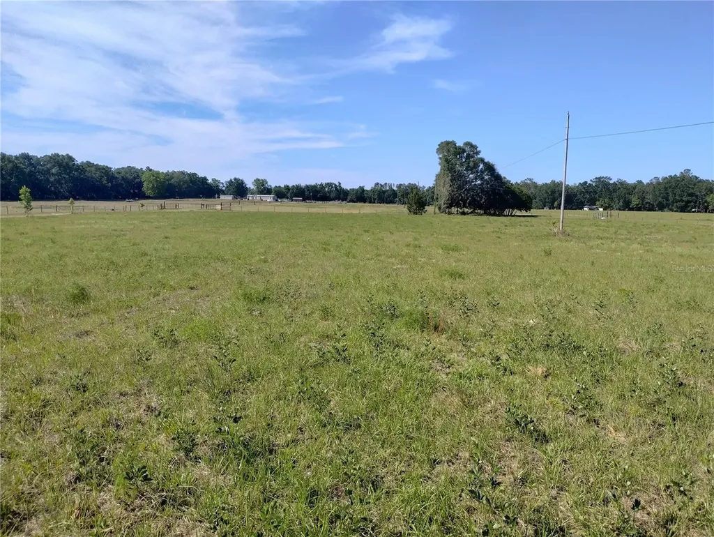 8335 168th Street Mc Alpin FL 32062