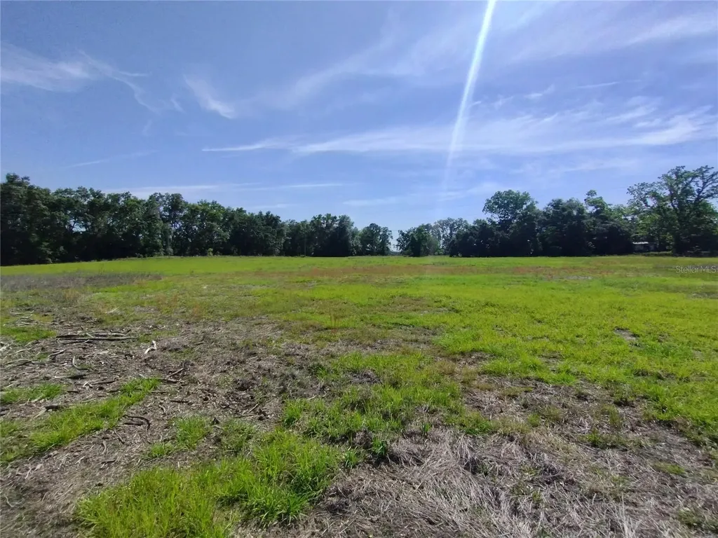8335 168th Street Mc Alpin FL 32062