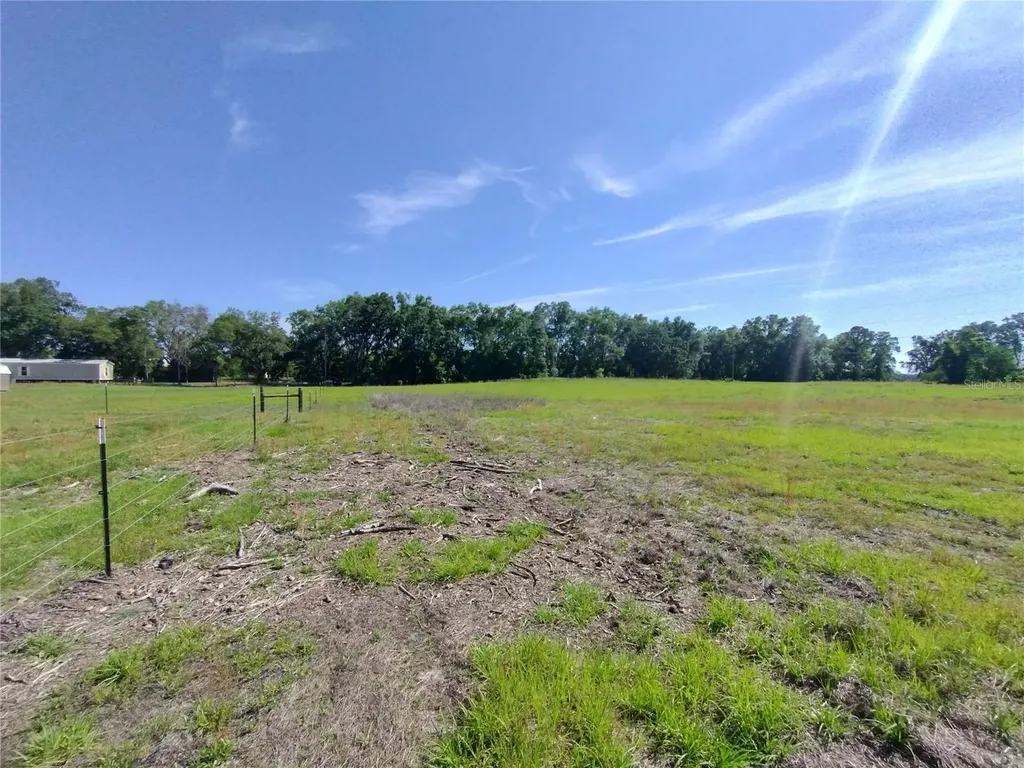 8335 168th Street Mc Alpin FL 32062