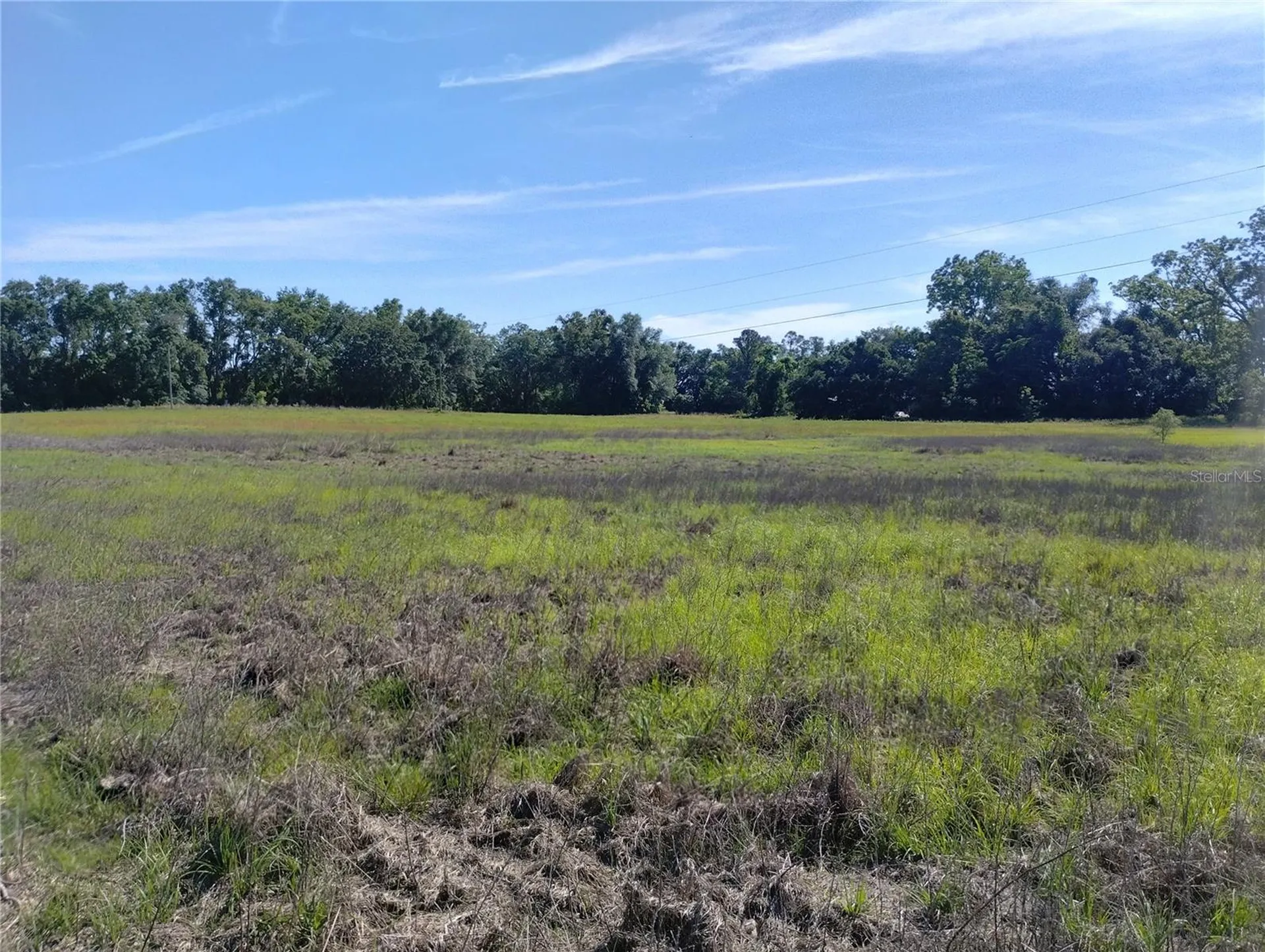 8335 168th Street Mc Alpin FL 32062