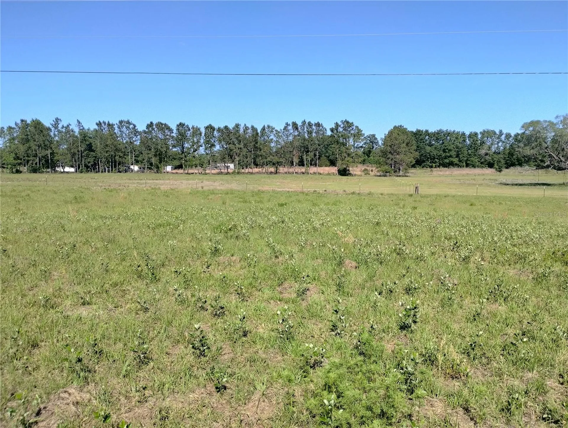 8335 168th Street Mc Alpin FL 32062