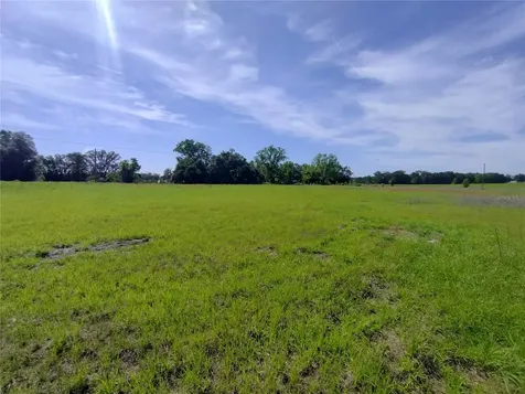 8335 168th Street Mc Alpin FL 32062