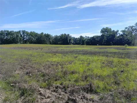 8335 168TH Street Mc Alpin FL 32062