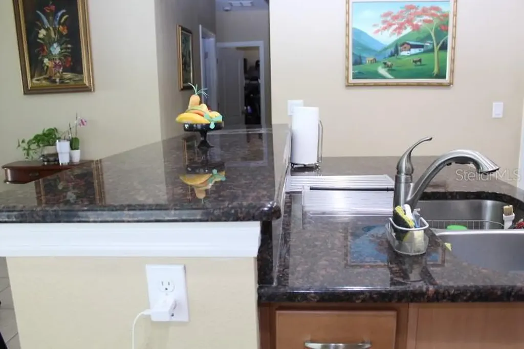 10722 Clover Walk Drive Orlando FL 32825