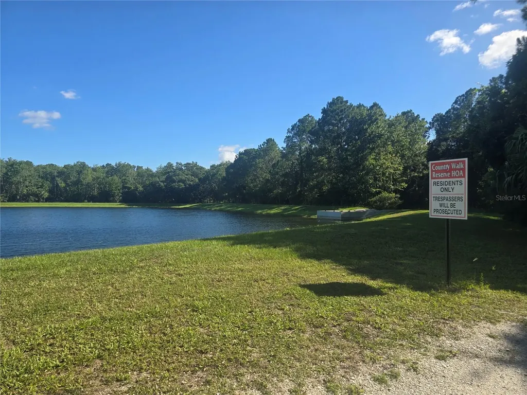10722 Clover Walk Drive Orlando FL 32825