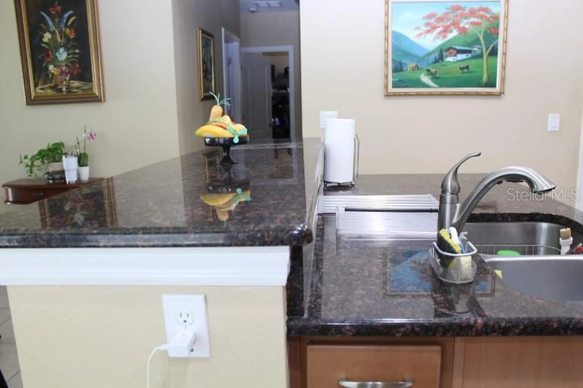 10722 Clover Walk Drive Orlando FL 32825