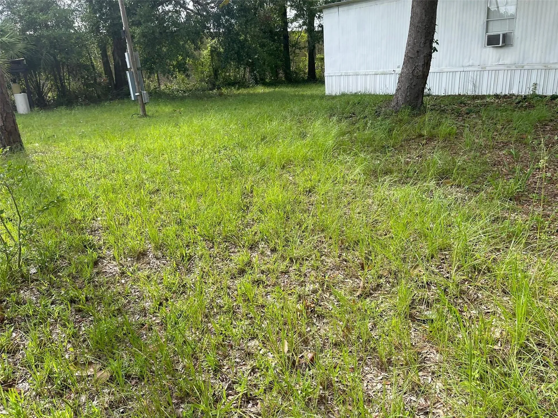 3545 SW 90th Street Ocala FL 34476