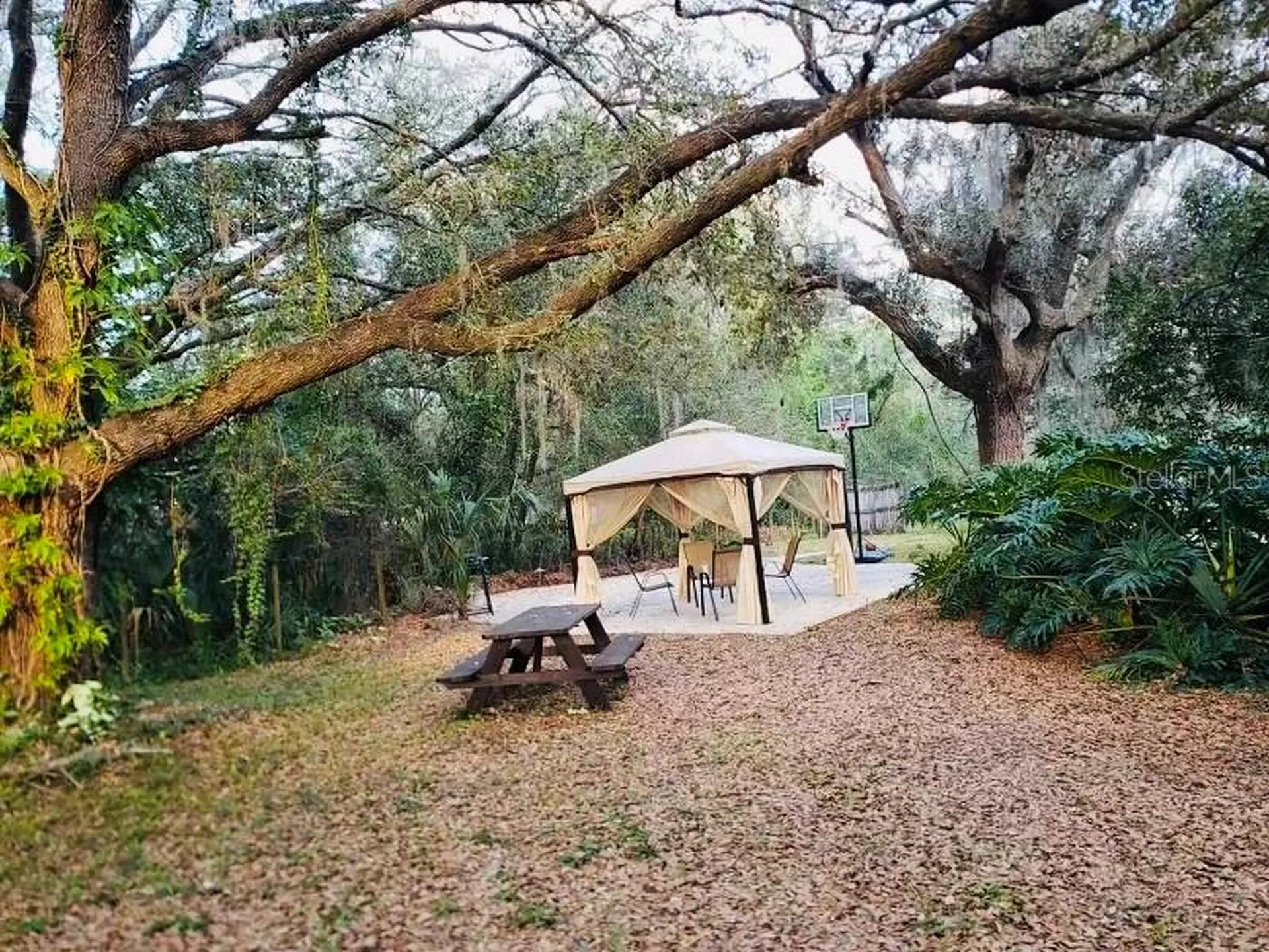 3545 SW 90th Street Ocala FL 34476