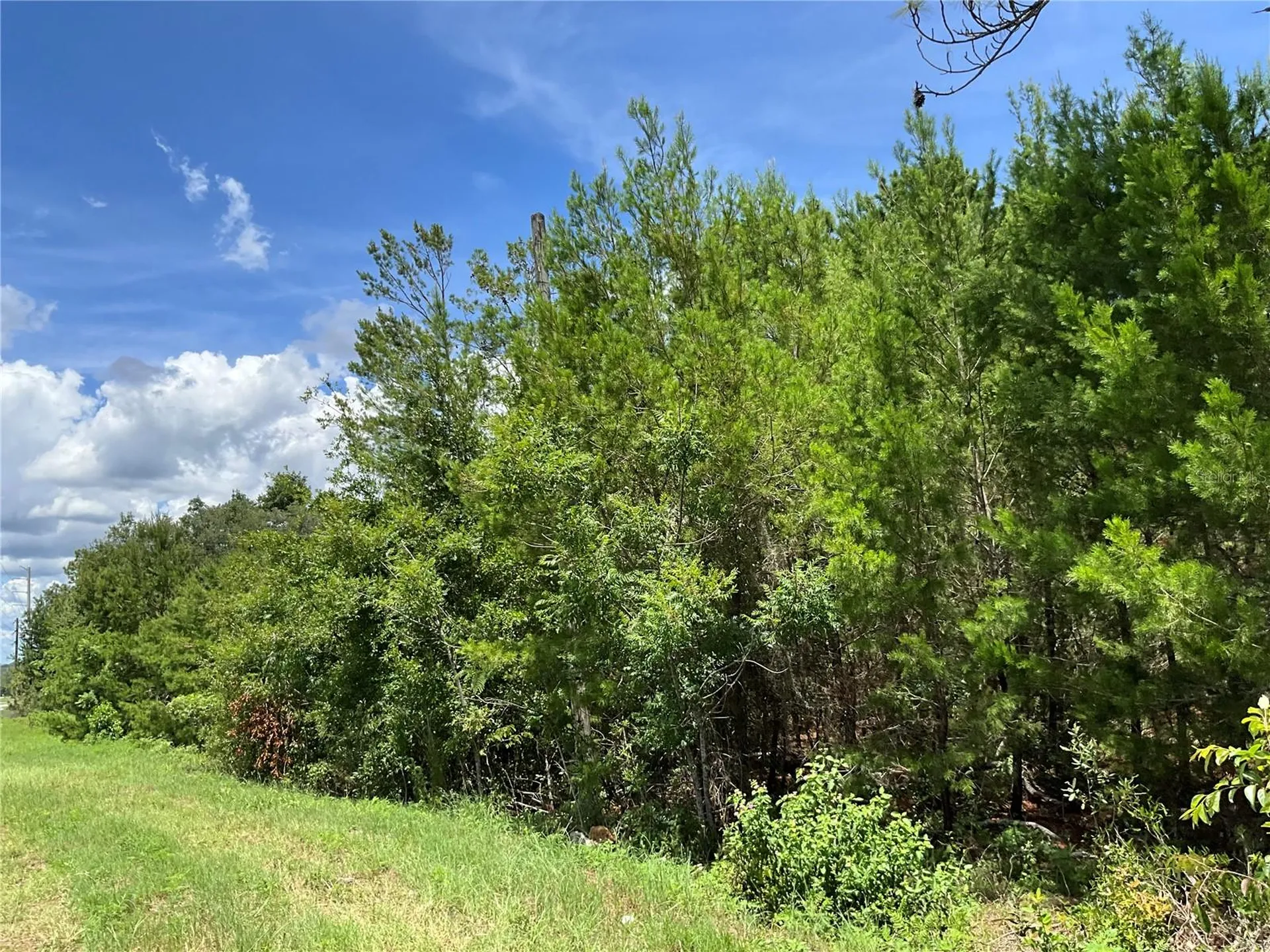 101 Hickory Lane Interlachen FL 32148