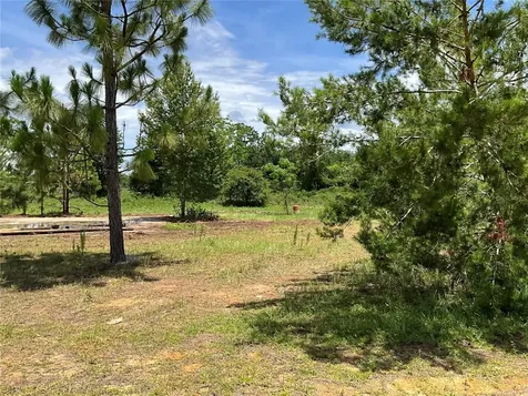 101 Hickory Lane Interlachen FL 32148