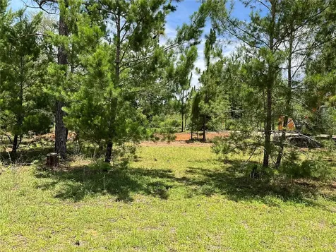 101 Hickory Lane Interlachen FL 32148