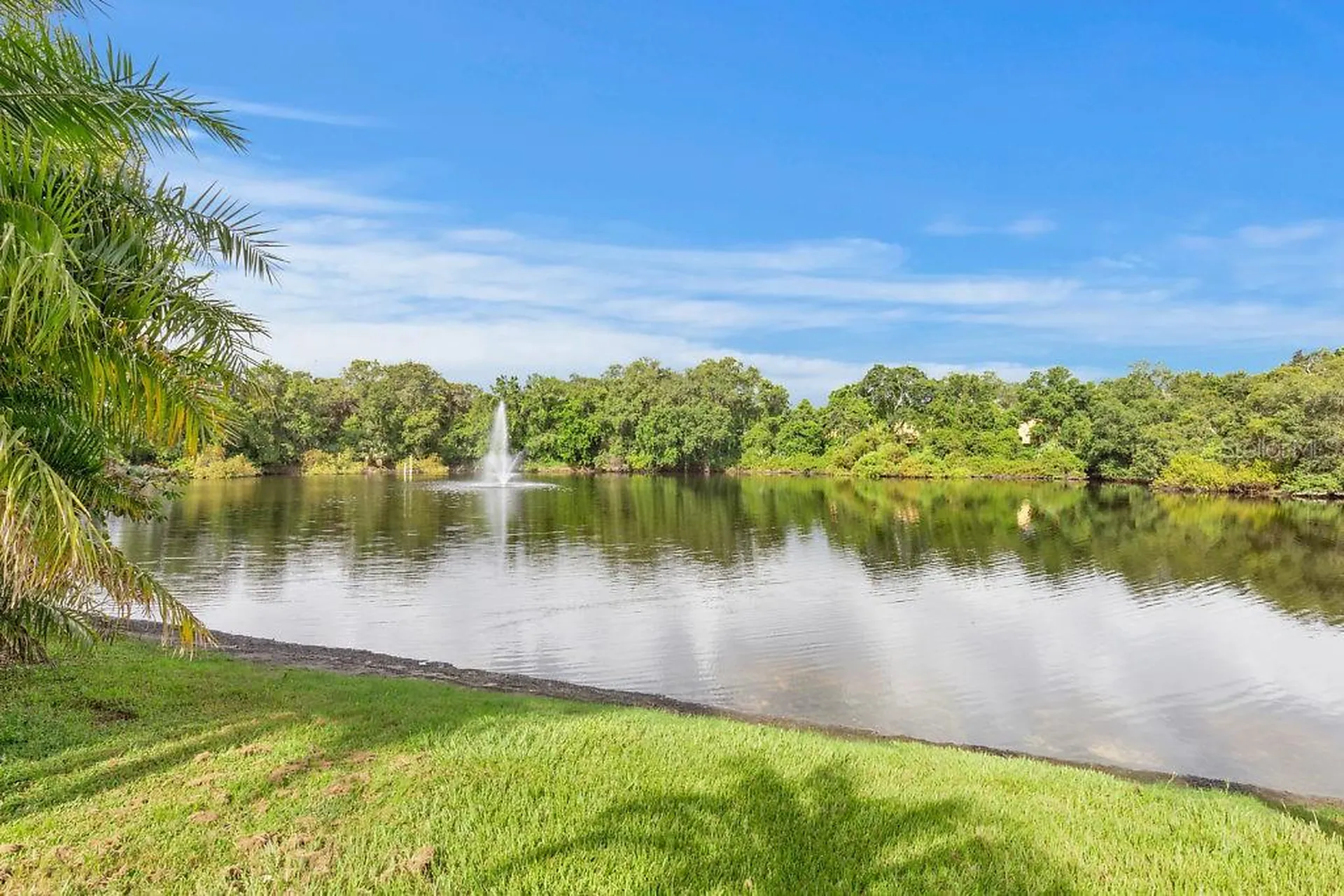 2712 12th Court Palm Harbor FL 34684