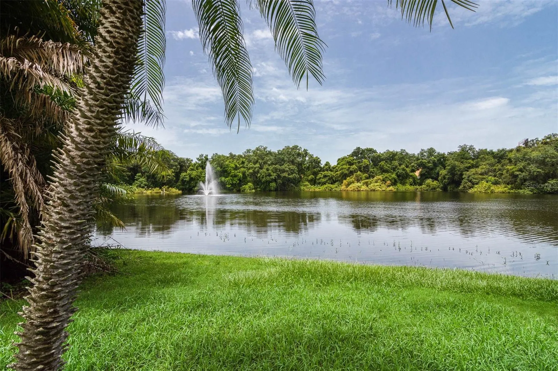 2712 12th Court Palm Harbor FL 34684