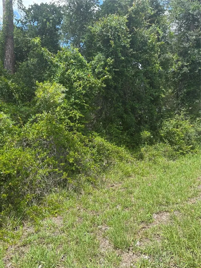 00 SE 186th Court Ocklawaha FL 32179