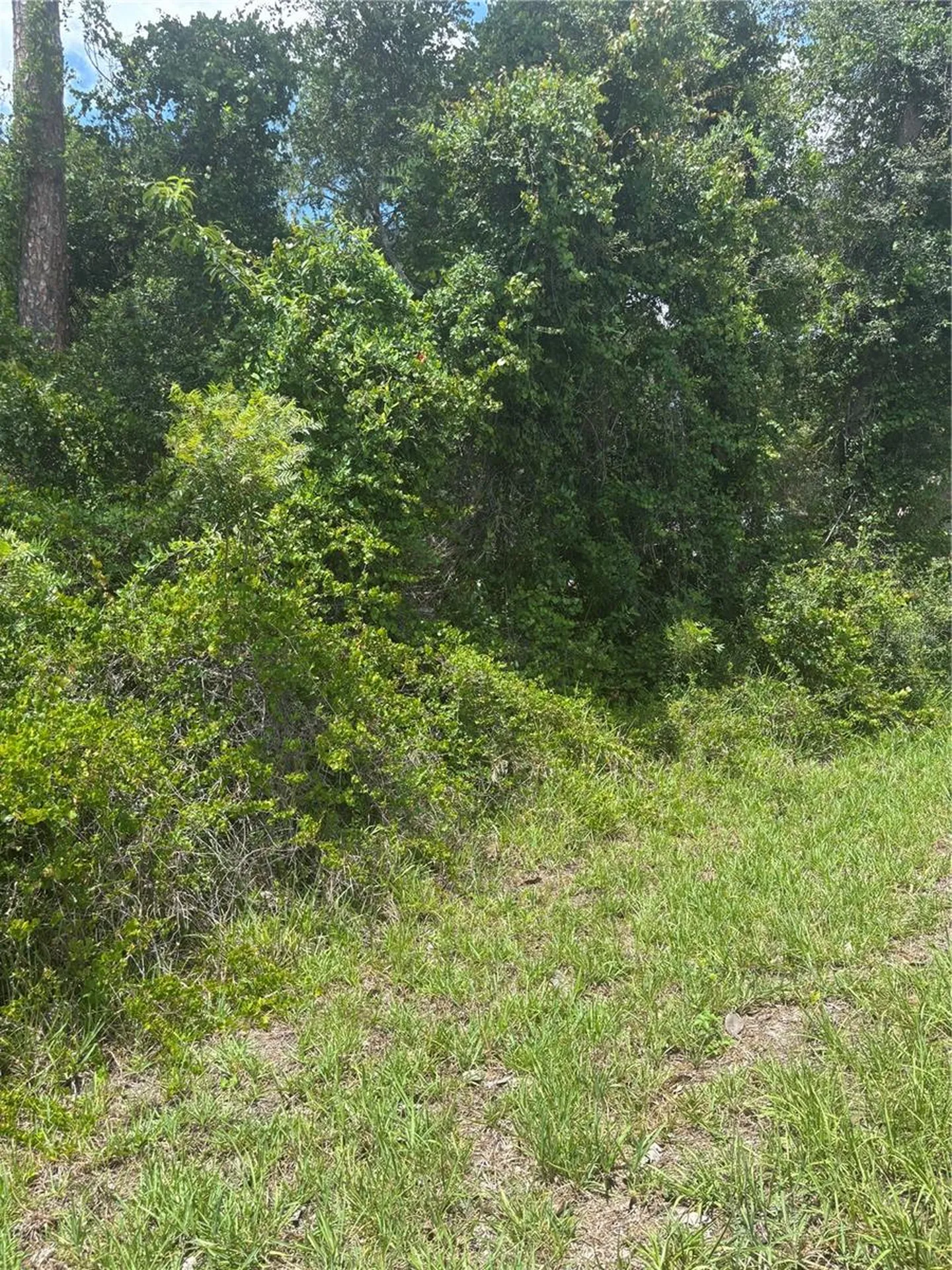 00 SE 186th Court Ocklawaha FL 32179