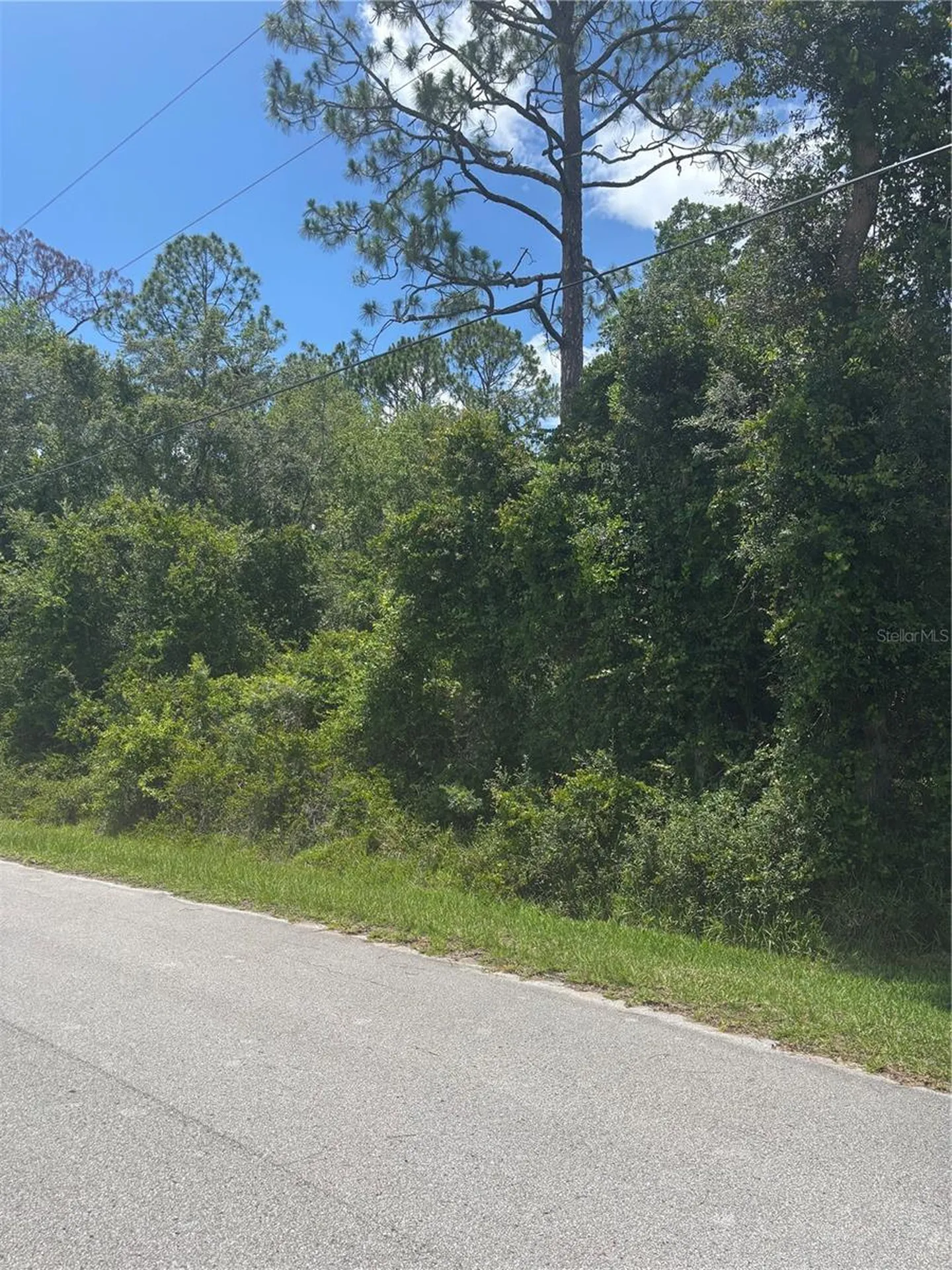 00 SE 186th Court Ocklawaha FL 32179