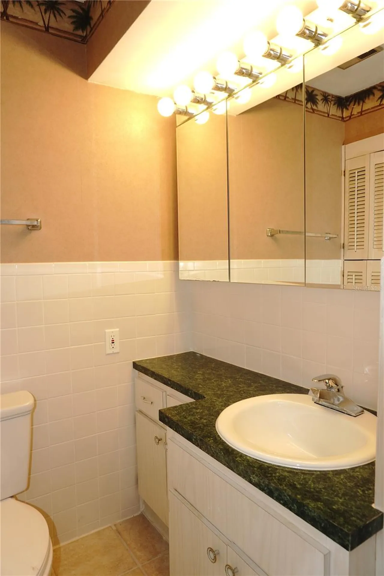 4329 Tahitian Gardens Circle Holiday FL 34691