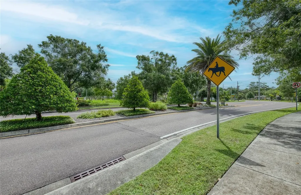 Twin Branch Acres Road Tampa FL 33626