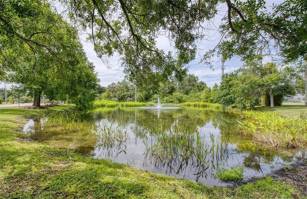 Twin Branch Acres Road Tampa FL 33626
