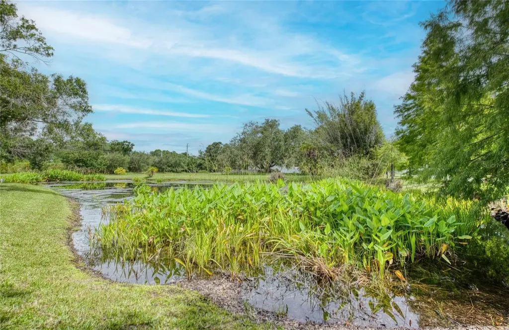 Twin Branch Acres Road Tampa FL 33626