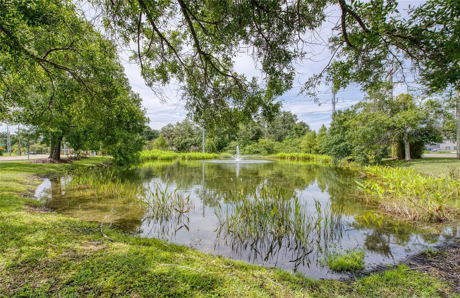 Twin Branch Acres Road Tampa FL 33626