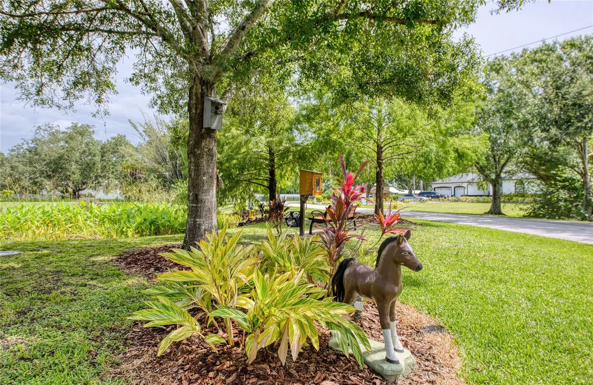 Twin Branch Acres Road Tampa FL 33626