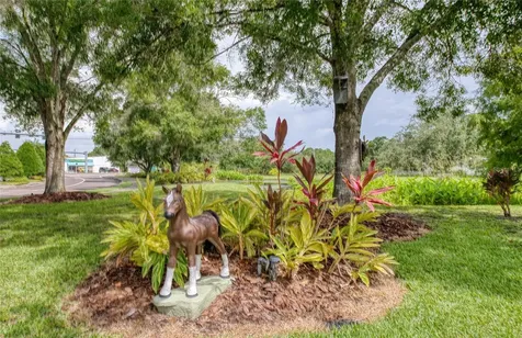 Twin Branch Acres Road Tampa FL 33626
