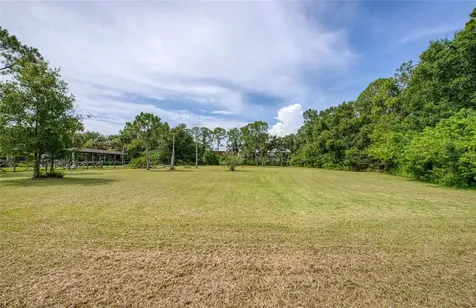 Twin Branch Acres Road Tampa FL 33626