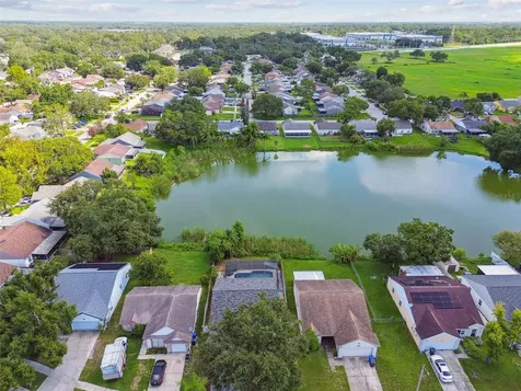 7908 George Washington Lane Tampa FL 33637