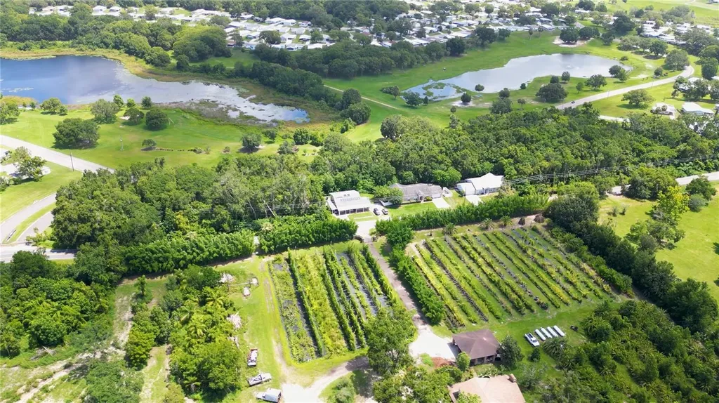3805 Cohen Drive Zellwood FL 32798