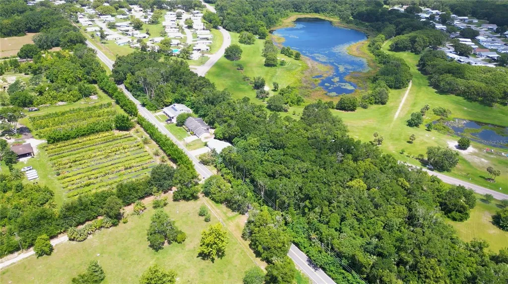 3805 Cohen Drive Zellwood FL 32798
