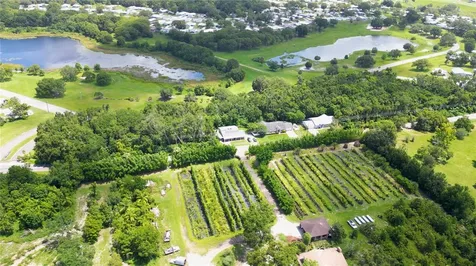 3805 Cohen Drive Zellwood FL 32798