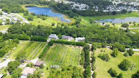 3805 Cohen Drive Zellwood FL 32798
