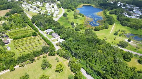 3805 Cohen Drive Zellwood FL 32798