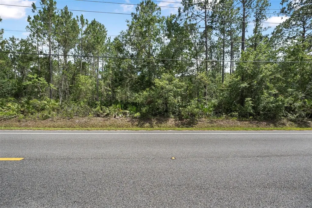 5875 Mahogany Boulevard Bunnell FL 32110