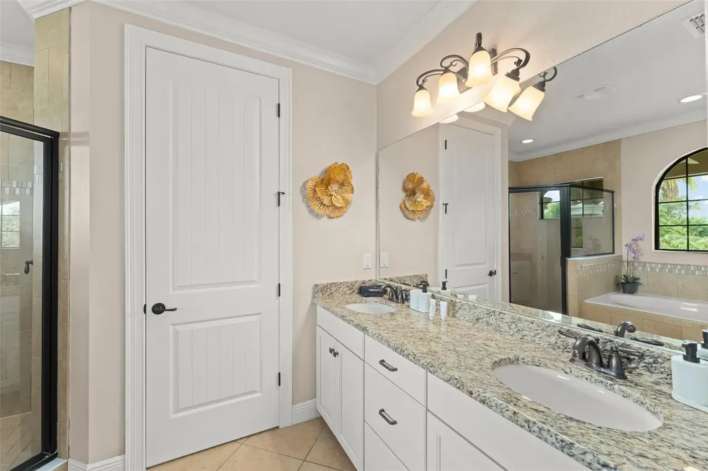 717 Desert Mountain Court Reunion FL 34747