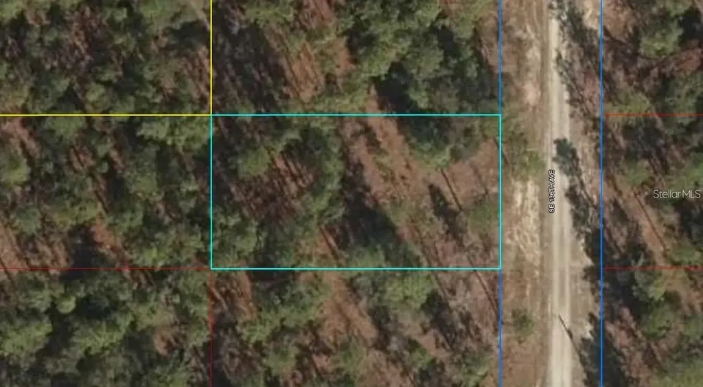 Lot 12 SE 136th Avenue Dunnellon FL 34431
