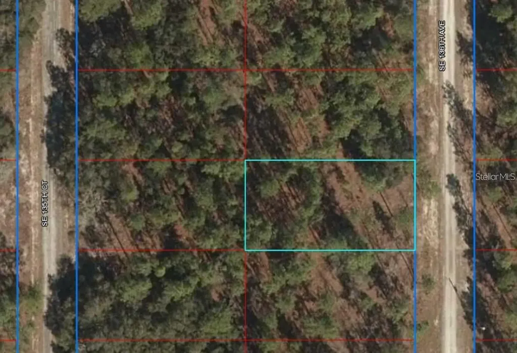 Lot 12 SE 136th Avenue Dunnellon FL 34431