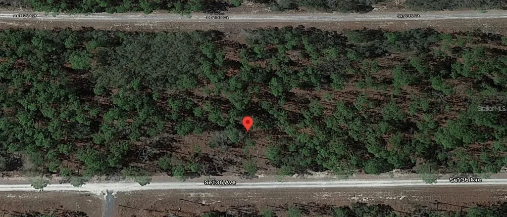 Lot 12 SE 136th Avenue Dunnellon FL 34431