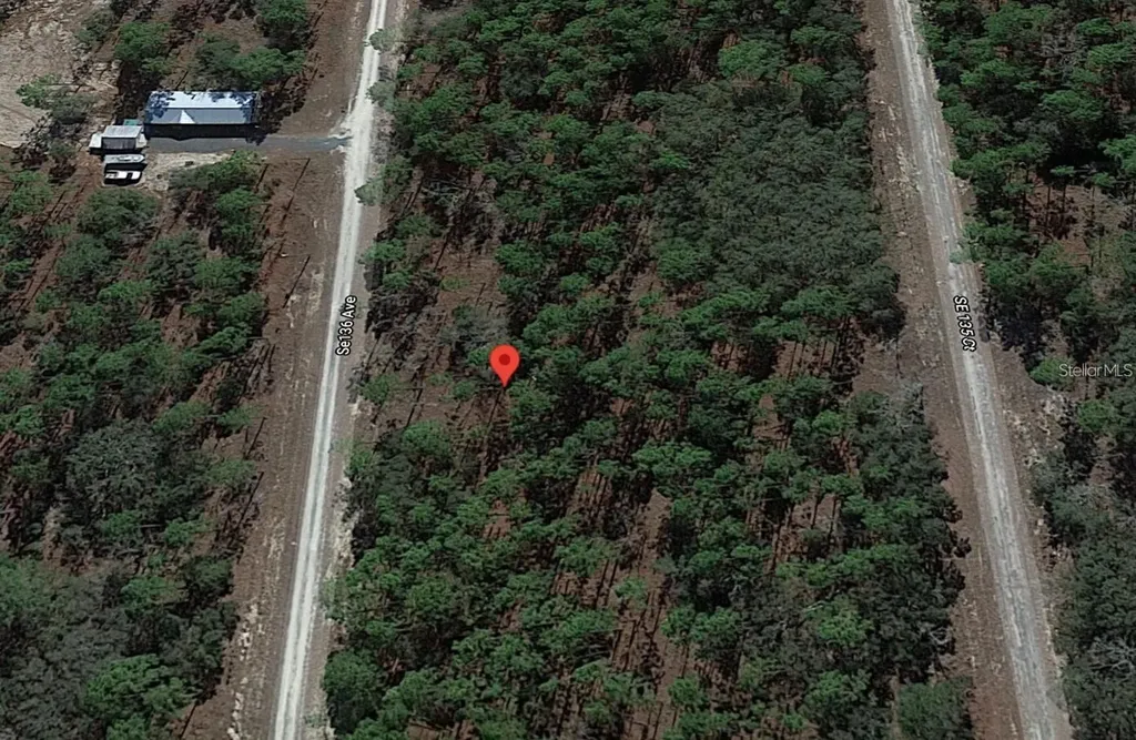 Lot 12 SE 136th Avenue Dunnellon FL 34431