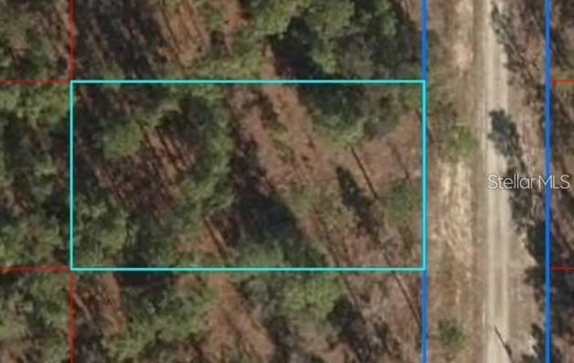 Lot 12 SE 136th Avenue Dunnellon FL 34431