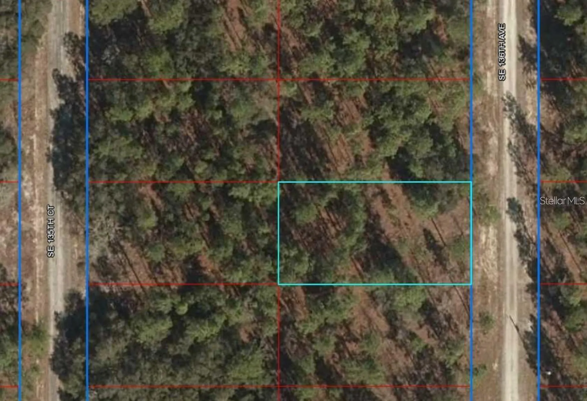 Lot 12 SE 136th Avenue Dunnellon FL 34431