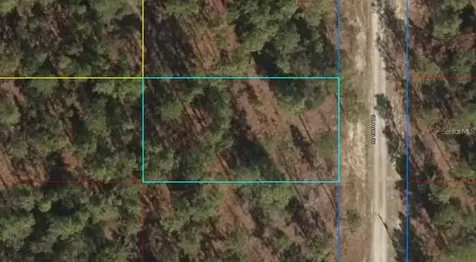 Lot 12 SE 136th Avenue Dunnellon FL 34431
