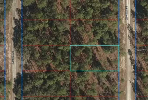 Lot 12 SE 136th Avenue Dunnellon FL 34431