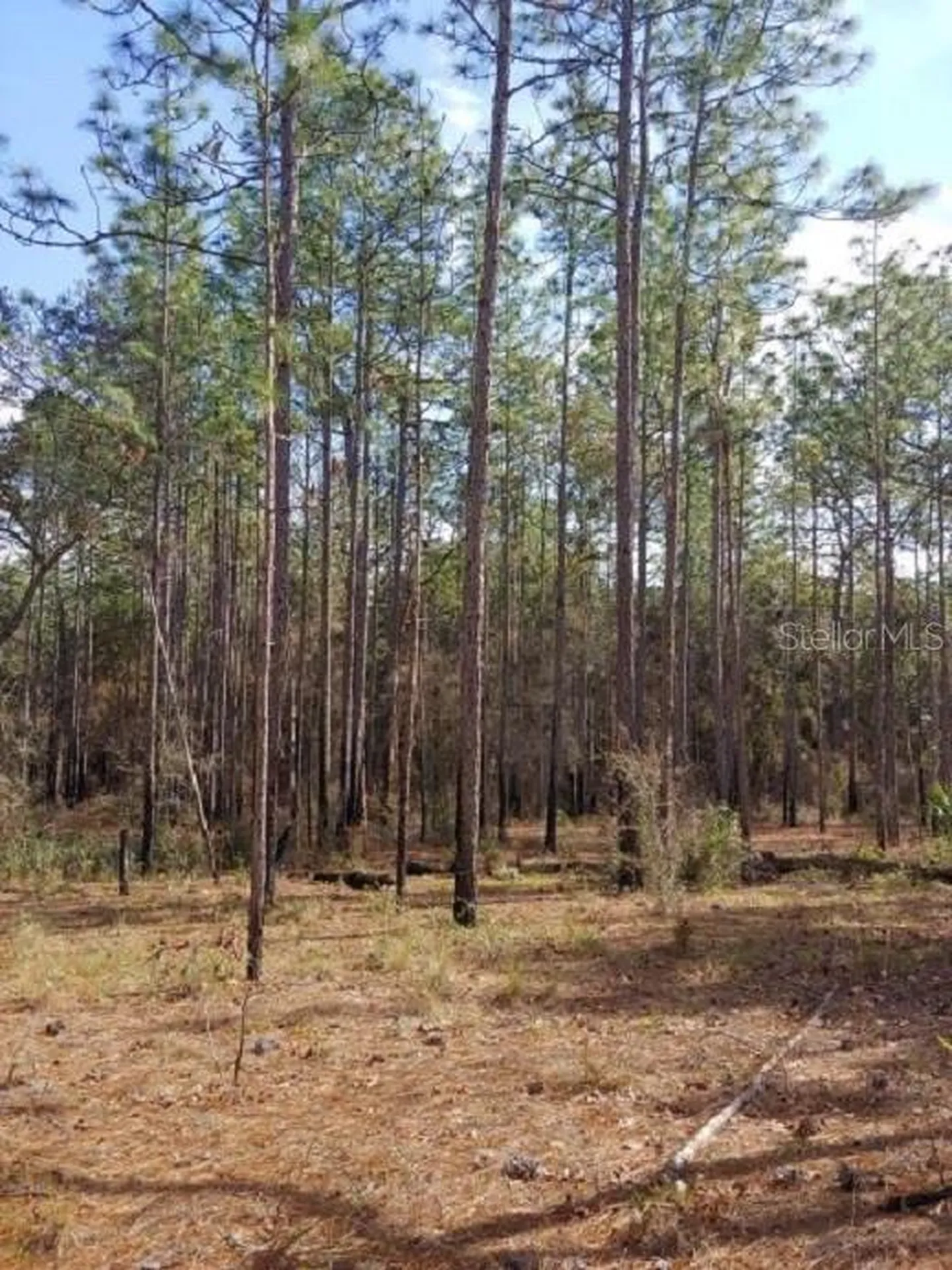 0 Us 41 Highway Floral City FL 34436