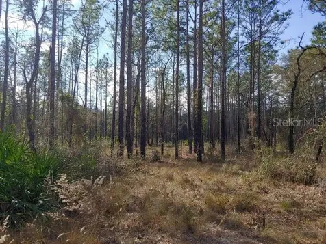0 Us 41 Highway Floral City FL 34436