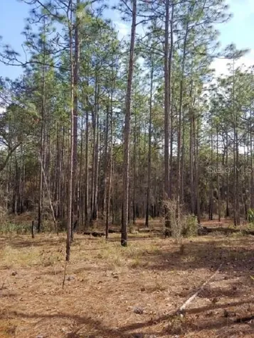 0 Us 41 Highway Floral City FL 34436